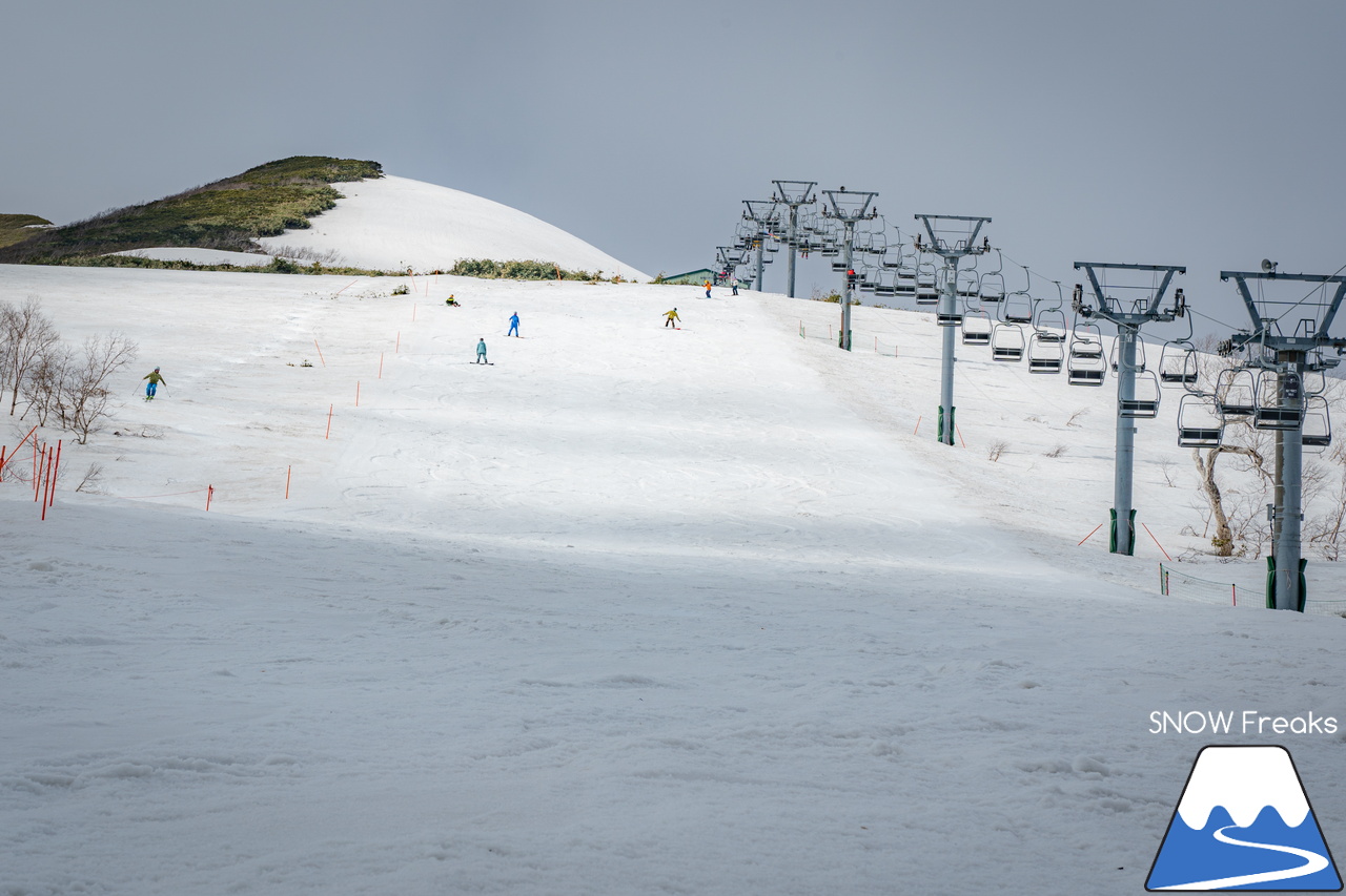 ニセコアンヌプリ国際スキー場｜さすがニセコ！山頂から山麓まで全長約4,000ｍのロング滑走可能です(^^)/